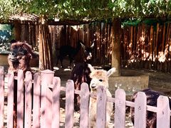 -泉州海丝野生动物世界