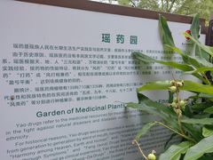 -广西壮族自治区药用植物园