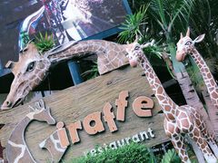 -清迈夜间动物园