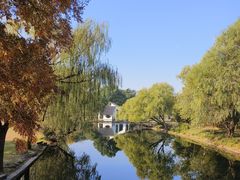 -上海共青森林公园