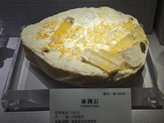 -湖南省地质博物馆