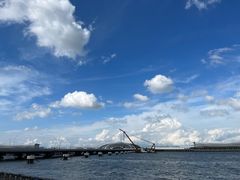 -上海吴淞炮台湾国家湿地公园