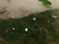 -老船坞餐厅(北京亚洲大酒店 )