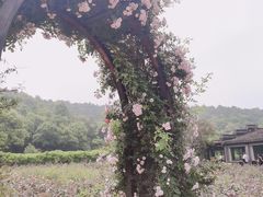 -龙寺生态园