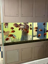 -杭州贝瑞斯美华妇儿医院·早孕·产检·儿科