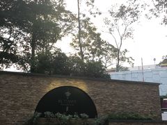 -都念榴莲·城市榴莲