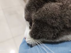 -佳雯宠物医院·皮肤科·内外科(春晓路分院)