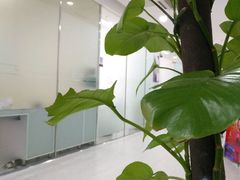 -海南口腔医院(国贸门诊部)