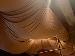 -毛辣果·酸(OHA复兴西路店)