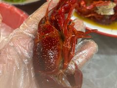 -盱眙虾怪·旗舰店