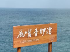 -杨梅坑