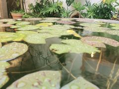 -三喜有食(集美店)