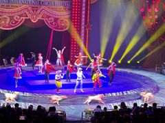 -珠海横琴长隆《卡卡虎奇遇记》