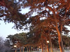 -钓鱼台国宾馆