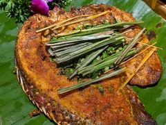 -金塔傣乡·云南德宏民族特色菜·傣味手抓饭(新亚洲店)