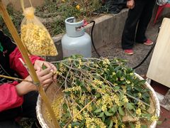 -苏州市吴中区光福窑上花果蜜饯厂