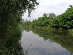 -新江湾城公园