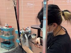 -FAELING PETS美天灵宠物(合生汇店)