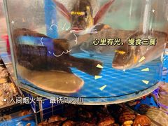 -鲜得莱渔港·小平岛海胆馆(七贤岭店)