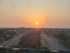 -宝安西湾红树林湿地公园