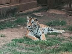 -昆明动物园