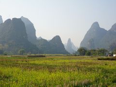 -明仕田园