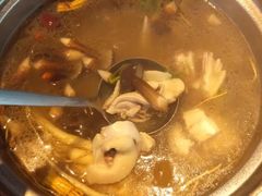 -千岛蚝高压锅生蚝·人参火锅(白云万达店)