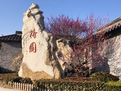 -梅园