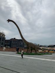 点击看大图 -恐龙探索乐园(磁器口店)
