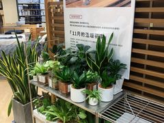 -MUJI无印良品(华贸店)