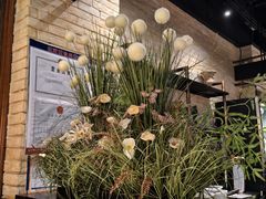 -三猫黑鱼花(南大店)