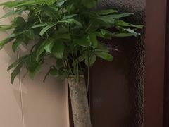 -沪碟·精菜坊(闵行店)