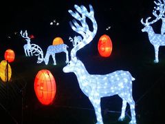 -映月湖公园