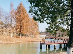 -苏州东太湖生态园