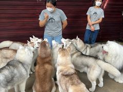 -TrueLove @ Neverland (Husky Cafe)