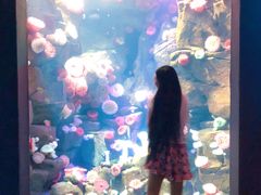 -瑞普利水族馆