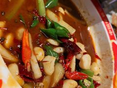-阿财老铺·老蚌埠龙虾城(华夏总店)