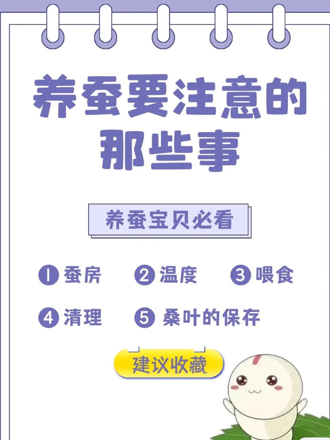 养蚕要注意的事!