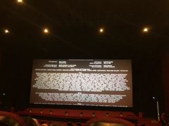 -大地影院(宁波培罗成店)