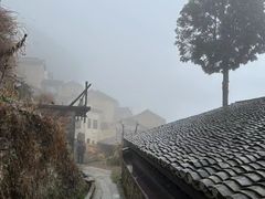 -杨家堂村