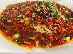 -金狮麟·新豫菜(金码大厦店)