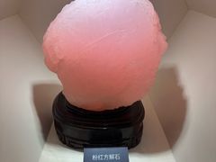 -安徽省地质博物馆
