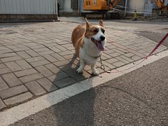 -北京益泉花园酒店