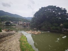 -福建土楼(南靖)景区
