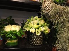 -静岸花卉园艺(三星坊店)