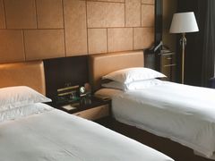 -合肥丰大国际大酒店