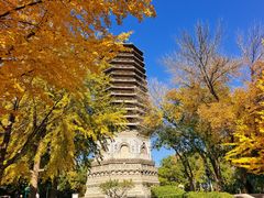 -玲珑塔公园