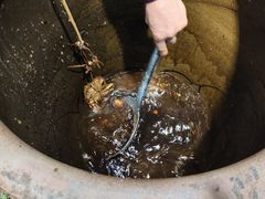 -杨阿六蒸缸羊肉面