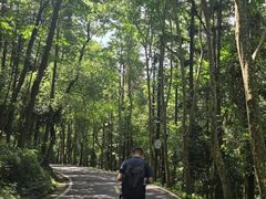 -潜山国家森林公园