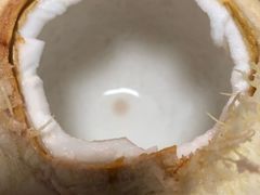 -鲜丰水果(九洲新世界花苑店)